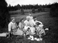 Suljulan pellolla